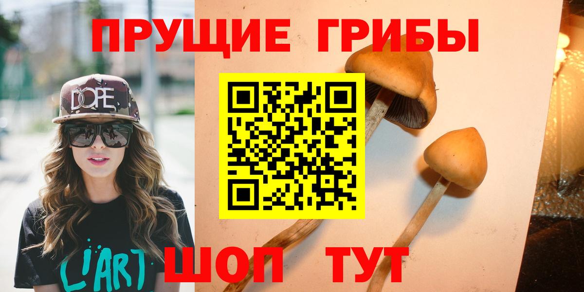 Галлюциногенные грибы Cubensis Гудермес