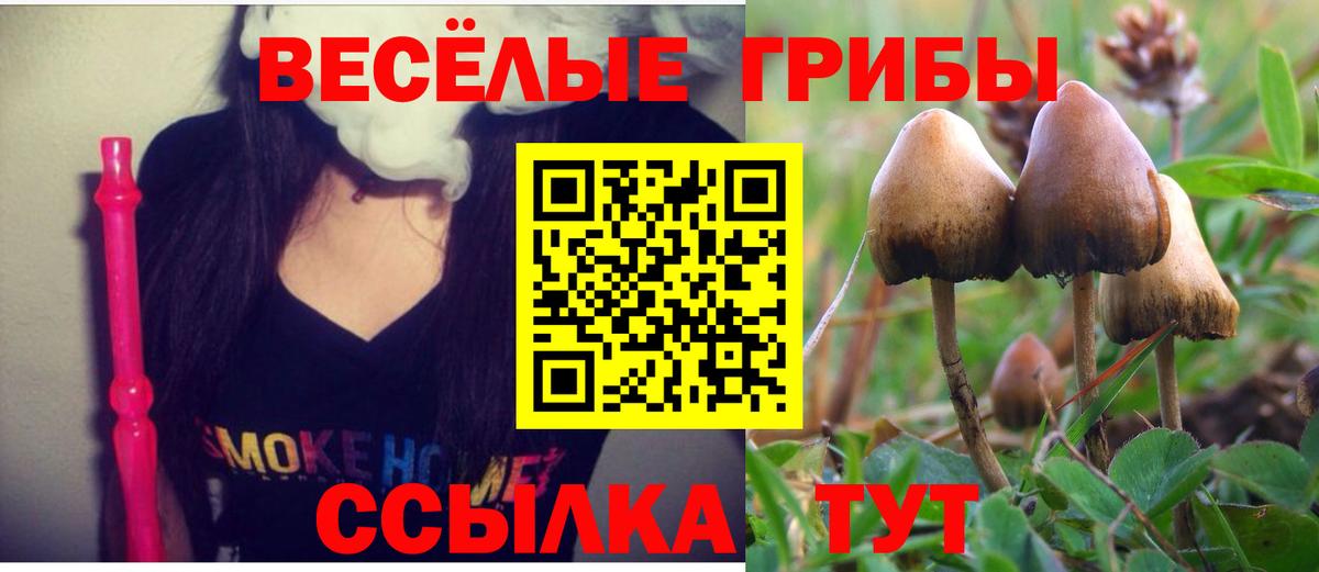 Псилоцибиновые грибы Magic Shrooms  Вход с VPN  Гудермес 